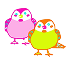 bird couple